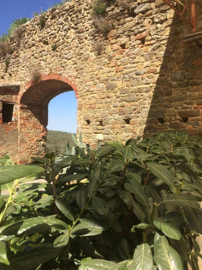 Apartamento Mansarda Degli Ulivi Rigomagno Exterior foto
