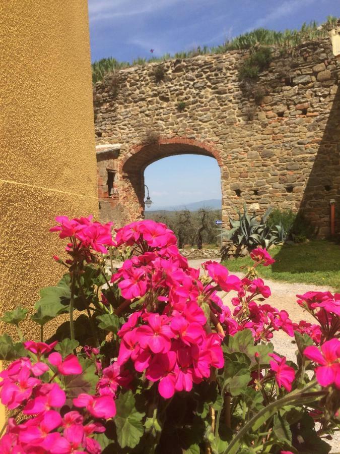Apartamento Mansarda Degli Ulivi Rigomagno Exterior foto