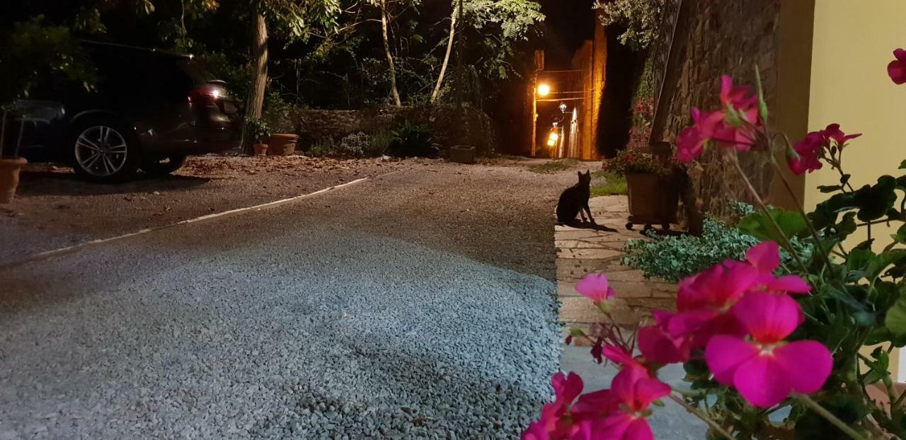 Apartamento Mansarda Degli Ulivi Rigomagno Exterior foto